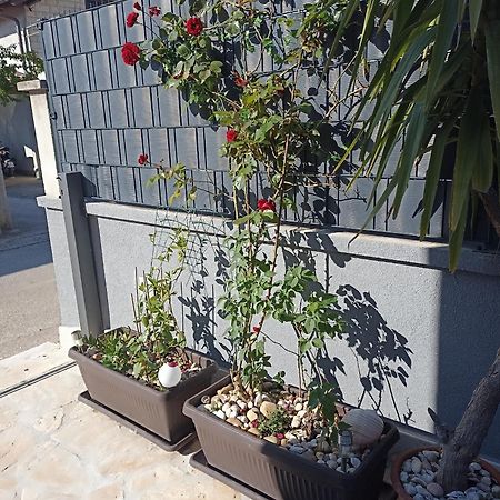 Apartman Lara Zadar Daire Dış mekan fotoğraf