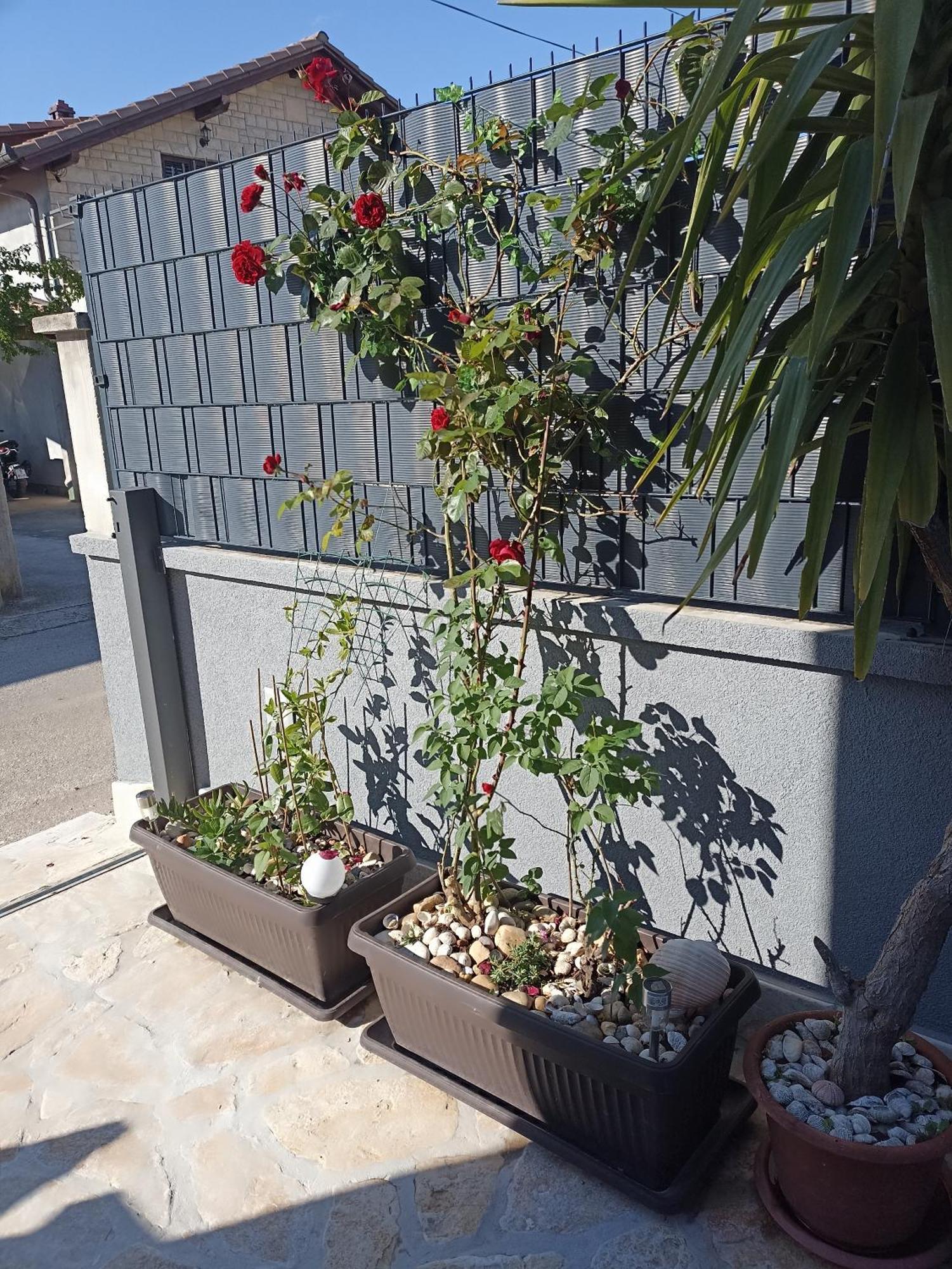 Apartman Lara Zadar Daire Dış mekan fotoğraf